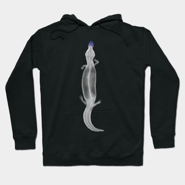 xray Blue tongue skink Hoodie by Luilouu